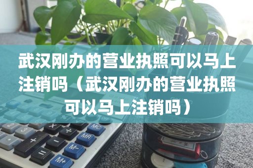 武汉刚办的营业执照可以马上注销吗（武汉刚办的营业执照可以马上注销吗）