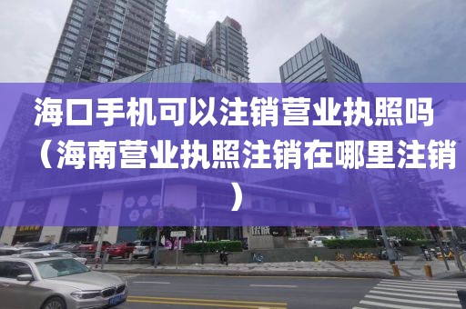 海口手机可以注销营业执照吗（海南营业执照注销在哪里注销）