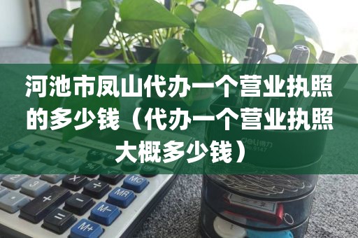 河池市凤山代办一个营业执照的多少钱（代办一个营业执照大概多少钱）