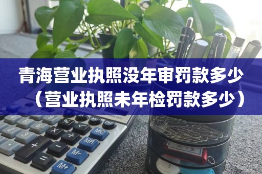 青海营业执照没年审罚款多少（营业执照未年检罚款多少）