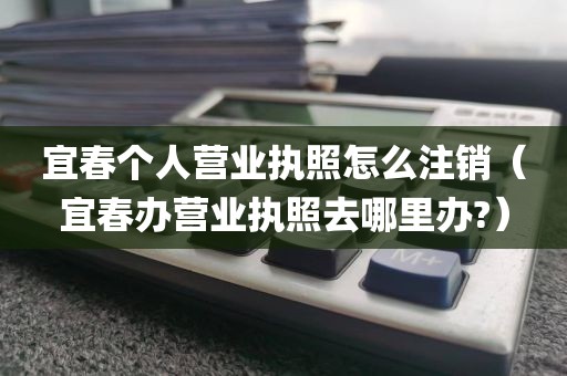 宜春个人营业执照怎么注销（宜春办营业执照去哪里办?）