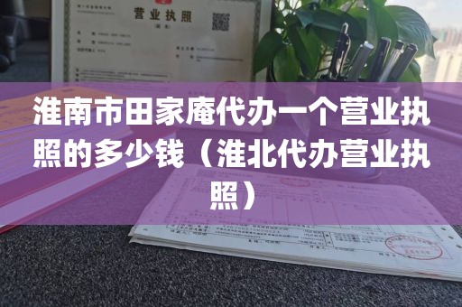 淮南市田家庵代办一个营业执照的多少钱（淮北代办营业执照）
