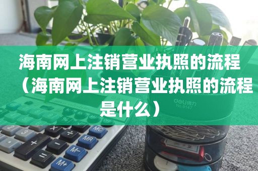 海南网上注销营业执照的流程（海南网上注销营业执照的流程是什么）