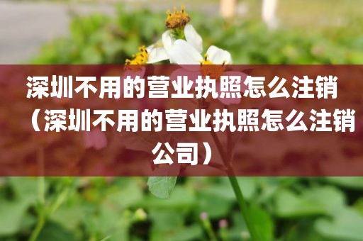 深圳不用的营业执照怎么注销（深圳不用的营业执照怎么注销公司）