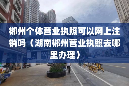 郴州个体营业执照可以网上注销吗（湖南郴州营业执照去哪里办理）