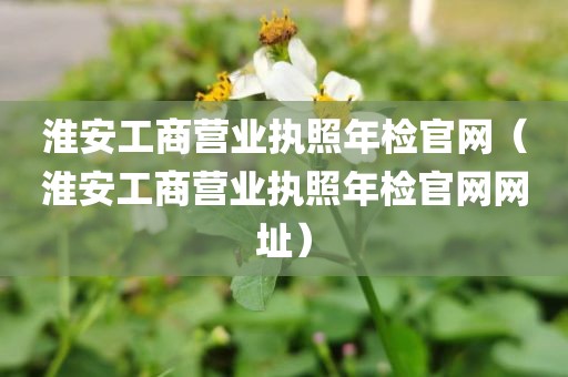 淮安工商营业执照年检官网（淮安工商营业执照年检官网网址）