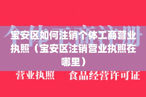 宝安区如何注销个体工商营业执照(宝安区注销营业执照在哪里)