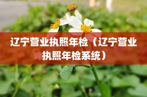 辽宁营业执照年检（辽宁营业执照年检系统）