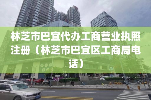 林芝市巴宜代办工商营业执照注册（林芝市巴宜区工商局电话）