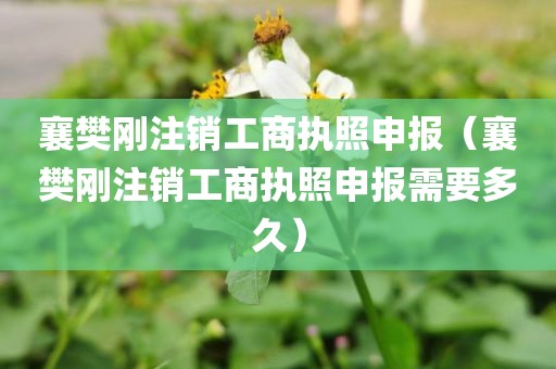 襄樊刚注销工商执照申报（襄樊刚注销工商执照申报需要多久）