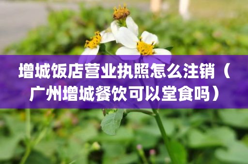 增城饭店营业执照怎么注销（广州增城餐饮可以堂食吗）