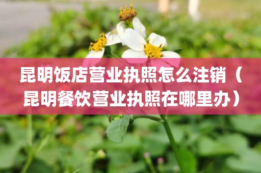 昆明饭店营业执照怎么注销（昆明餐饮营业执照在哪里办）