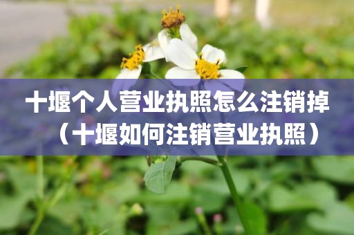 十堰个人营业执照怎么注销掉（十堰如何注销营业执照）