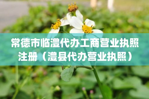 常德市临澧代办工商营业执照注册（澧县代办营业执照）