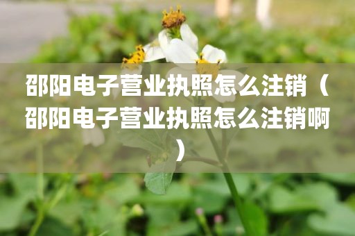 邵阳电子营业执照怎么注销(邵阳电子营业执照怎么注销啊)