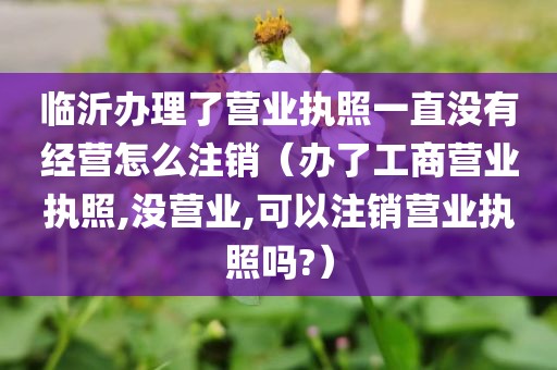 临沂办理了营业执照一直没有经营怎么注销(办了工商营业执照,没营业,可以注销营业执照吗?)