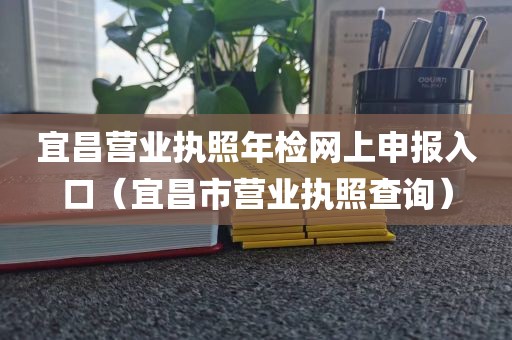 宜昌营业执照年检网上申报入口(宜昌市营业执照查询)