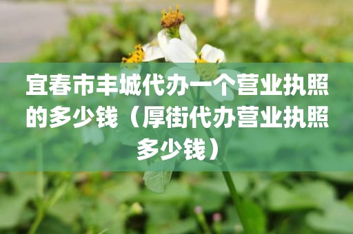 宜春市丰城代办一个营业执照的多少钱（厚街代办营业执照多少钱）