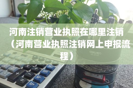 河南注销营业执照在哪里注销（河南营业执照注销网上申报流程）