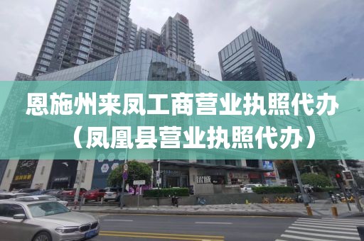 恩施州来凤工商营业执照代办(凤凰县营业执照代办)