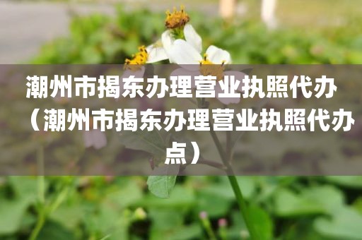 潮州市揭东办理营业执照代办（潮州市揭东办理营业执照代办点）