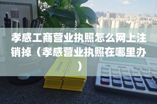孝感工商营业执照怎么网上注销掉(孝感营业执照在哪里办)