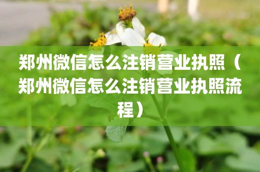 郑州微信怎么注销营业执照（郑州微信怎么注销营业执照流程）