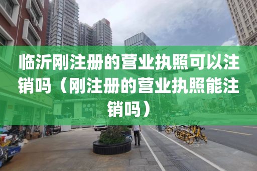 临沂刚注册的营业执照可以注销吗(刚注册的营业执照能注销吗)