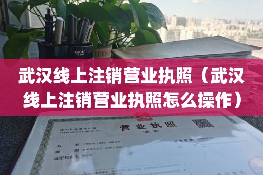 武汉线上注销营业执照（武汉线上注销营业执照怎么操作）