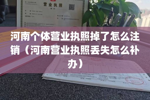 河南个体营业执照掉了怎么注销（河南营业执照丢失怎么补办）