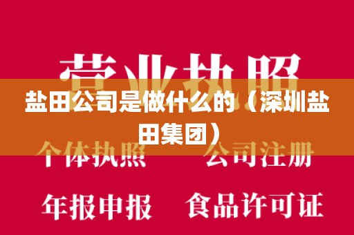 盐田公司是做什么的（深圳盐田集团）