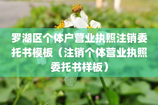 罗湖区个体户营业执照注销委托书模板（注销个体营业执照委托书样板）