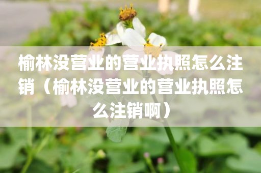 榆林没营业的营业执照怎么注销（榆林没营业的营业执照怎么注销啊）
