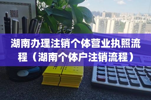湖南办理注销个体营业执照流程（湖南个体户注销流程）