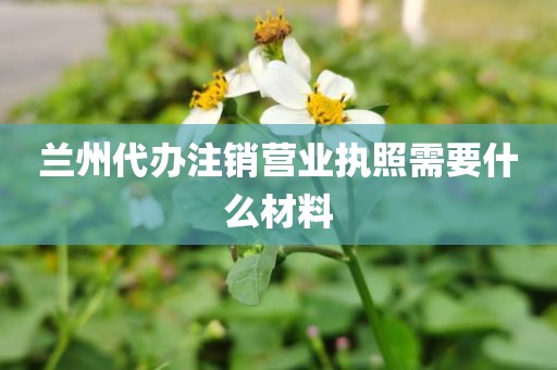兰州代办注销营业执照需要什么材料