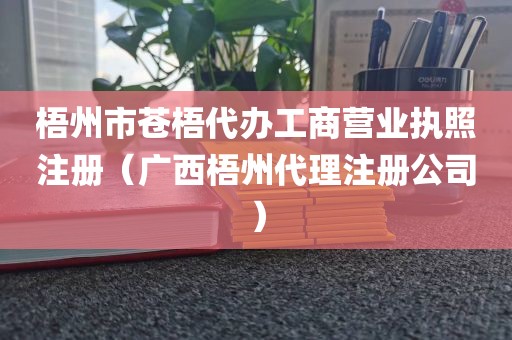 梧州市苍梧代办工商营业执照注册（广西梧州代理注册公司）
