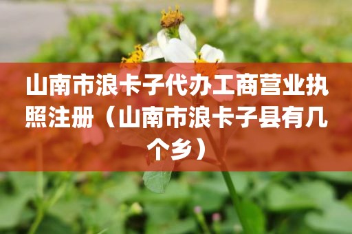 山南市浪卡子代办工商营业执照注册（山南市浪卡子县有几个乡）