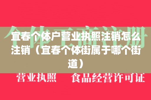 宜春个体户营业执照注销怎么注销（宜春个体街属于哪个街道）
