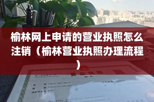 榆林网上申请的营业执照怎么注销（榆林营业执照办理流程）