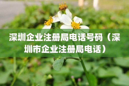 深圳企业注册局电话号码（深圳市企业注册局电话）