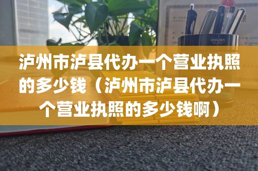 泸州市泸县代办一个营业执照的多少钱（泸州市泸县代办一个营业执照的多少钱啊）