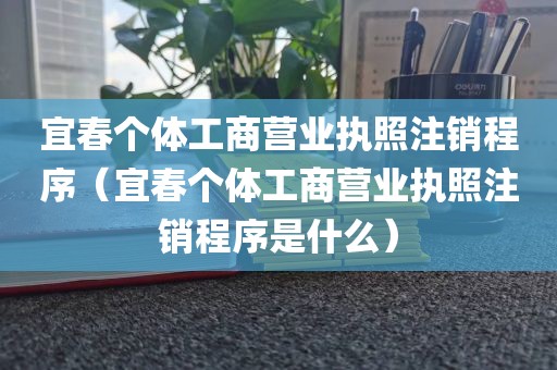 宜春个体工商营业执照注销程序（宜春个体工商营业执照注销程序是什么）