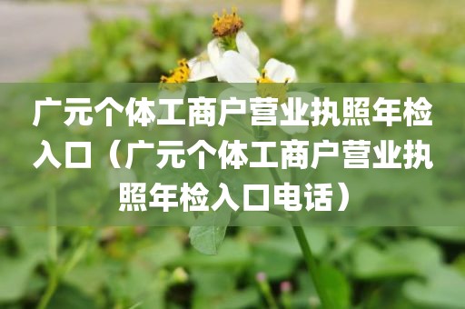 广元个体工商户营业执照年检入口（广元个体工商户营业执照年检入口电话）