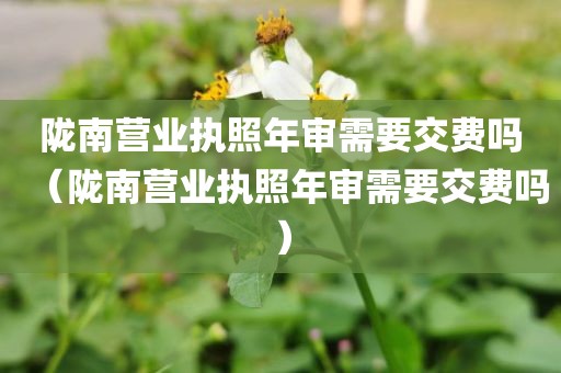 陇南营业执照年审需要交费吗（陇南营业执照年审需要交费吗）