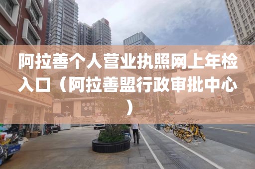 阿拉善个人营业执照网上年检入口（阿拉善盟行政审批中心）