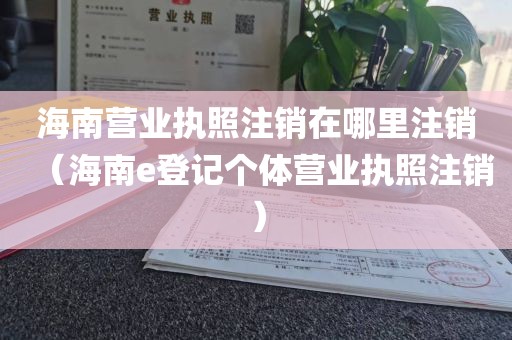 海南营业执照注销在哪里注销（海南e登记个体营业执照注销）