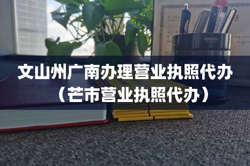 文山州广南办理营业执照代办（芒市营业执照代办）