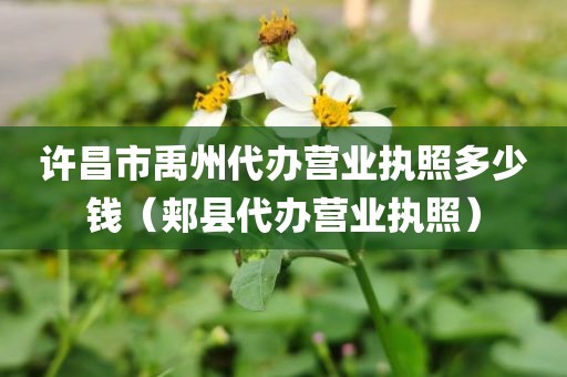 许昌市禹州代办营业执照多少钱(郏县代办营业执照)