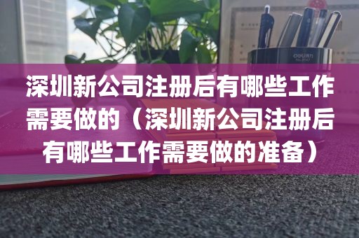 深圳新公司注册后有哪些工作需要做的（深圳新公司注册后有哪些工作需要做的准备）