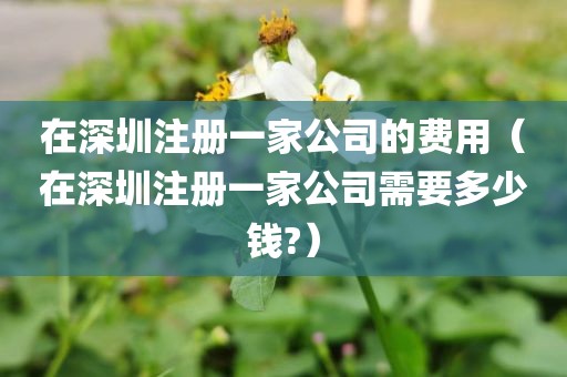 在深圳注册一家公司的费用（在深圳注册一家公司需要多少钱?）